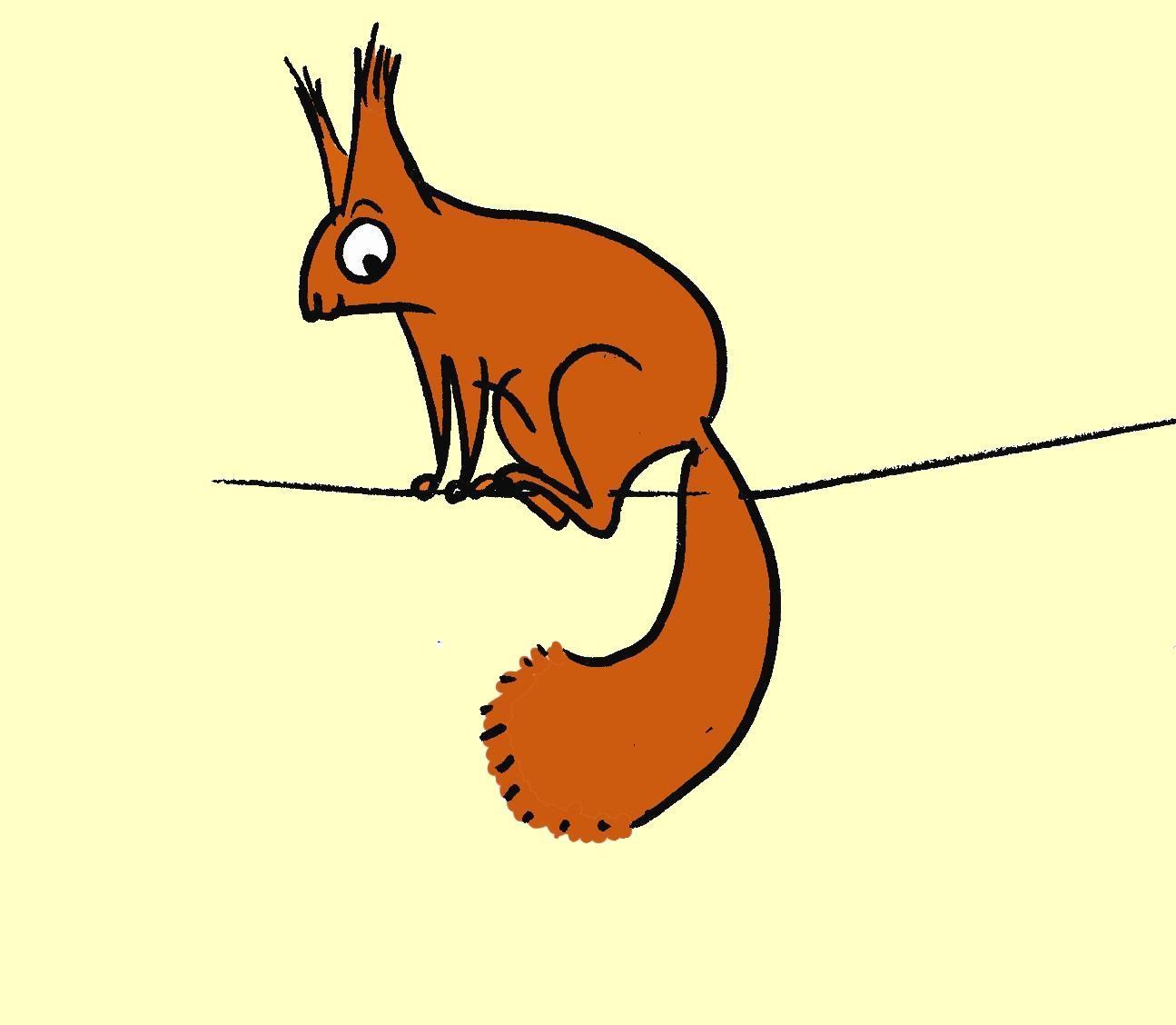 eekhoorn